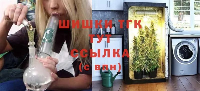 Бошки марихуана THC 21%  купить наркотики сайты  ОМГ ОМГ ссылка  Еманжелинск 